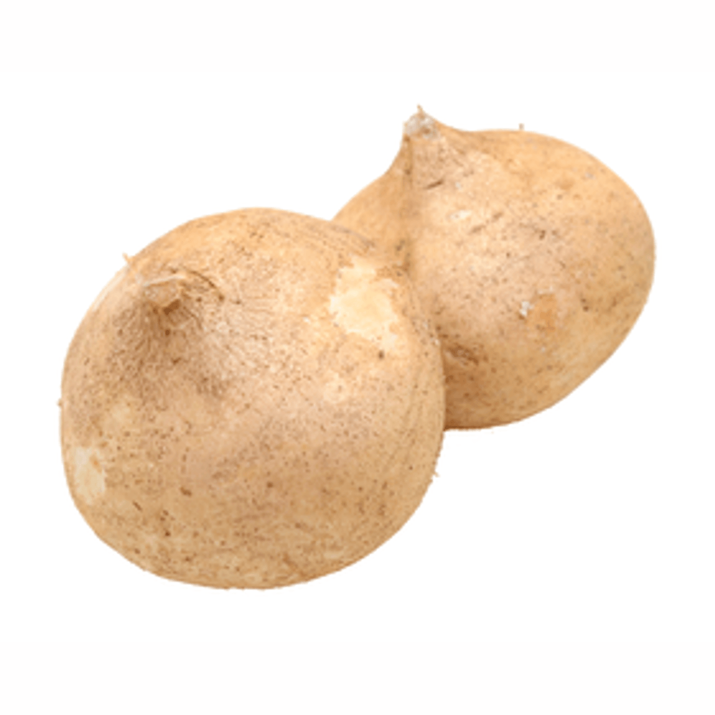 Jicama Grande de H-E-B: Frescura y Calidad Garantizadas