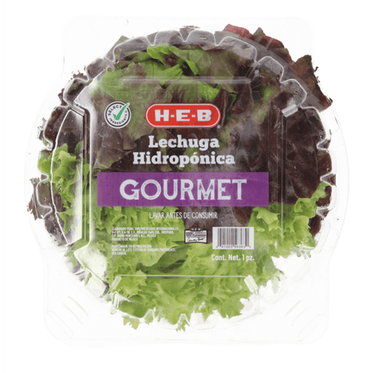 Lechuga Gourmet Hidropónica 1 Cmt