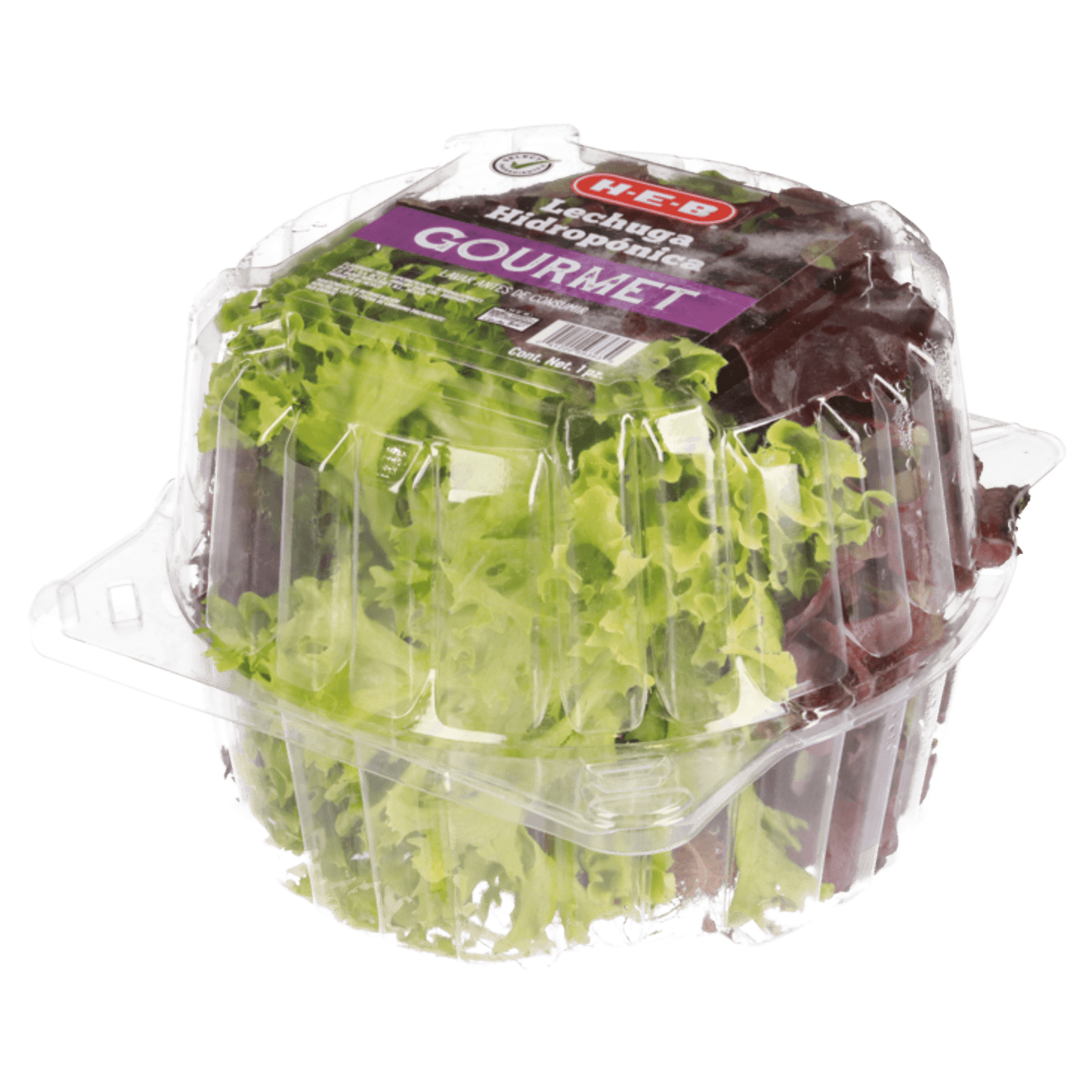 Lechuga Gourmet Hidropónica 1 Cmt