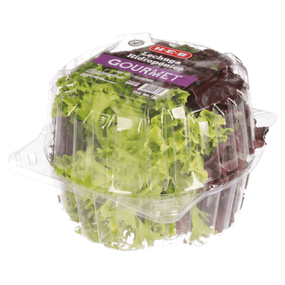 Lechuga Gourmet Hidropónica 1 Cmt